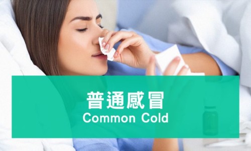补精气的食物女性能吃吗-女性补精气神吃什么-补精气的食物女性能吃吗,中国补精气的食物女性网站