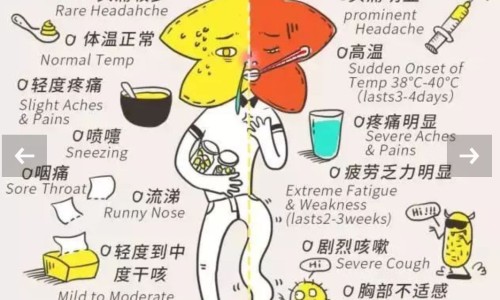 补精气的食物女性能吃吗-女性补精气神吃什么-补精气的食物女性能吃吗,中国补精气的食物女性网站